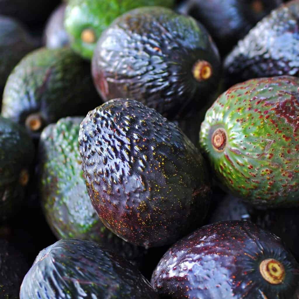A close up of a bunch of avocados.