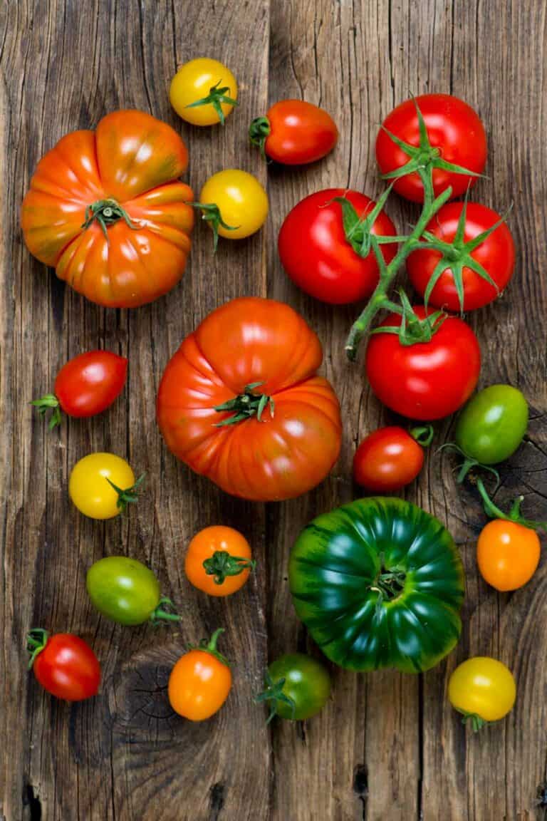 Fresh Picks: A Guide to the Many Types of Tomatoes
