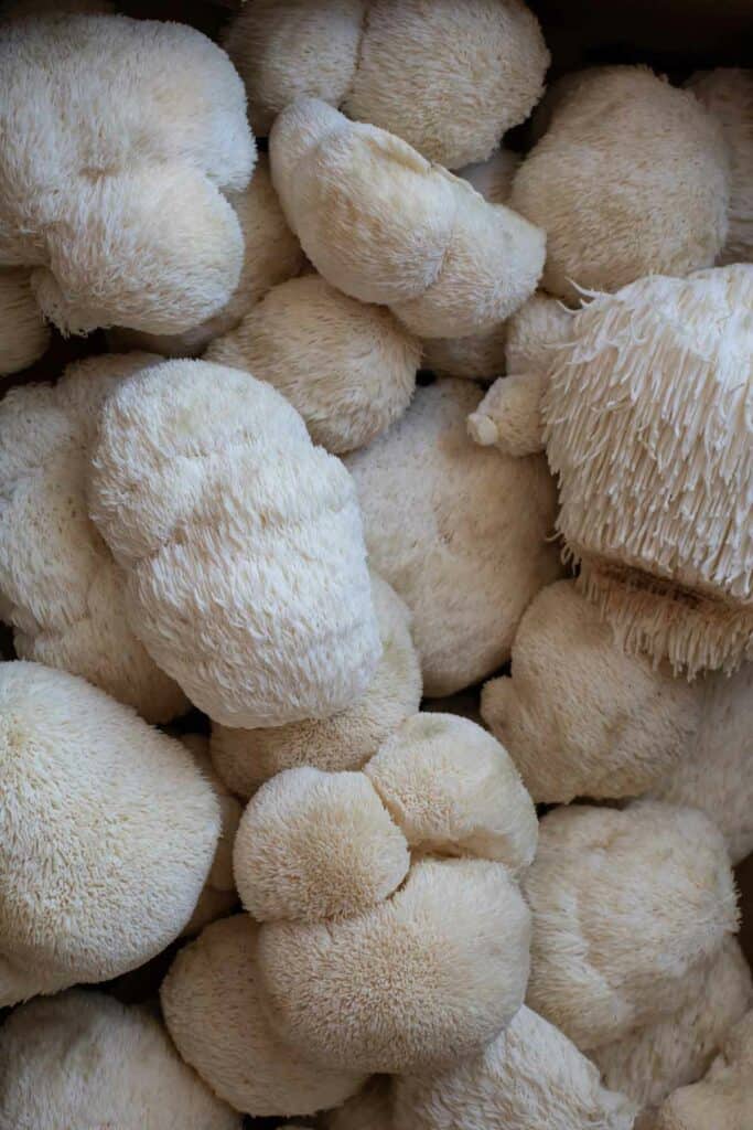 A pile of white mushrooms in a box.