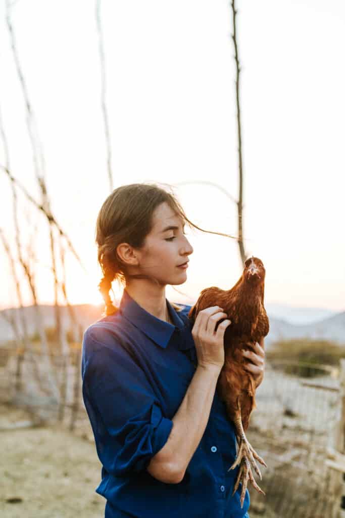 A woman holding a chicken at sunset.