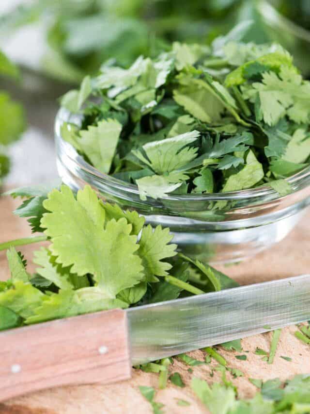 Fresh cilantro on a cutting board with a knife.