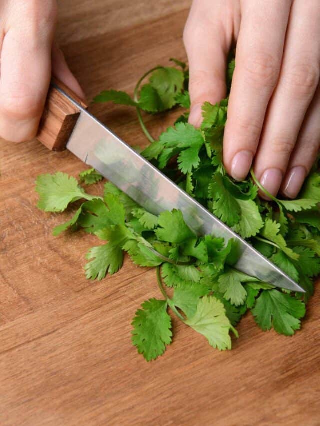 Essential Cilantro Tips for Every Cook