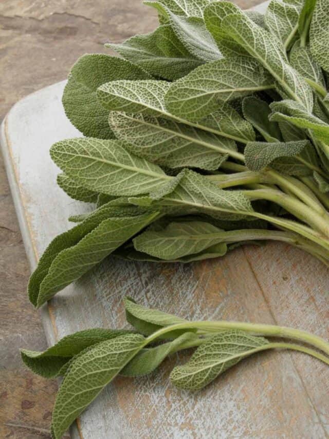 Sage leaves on a wooden table.