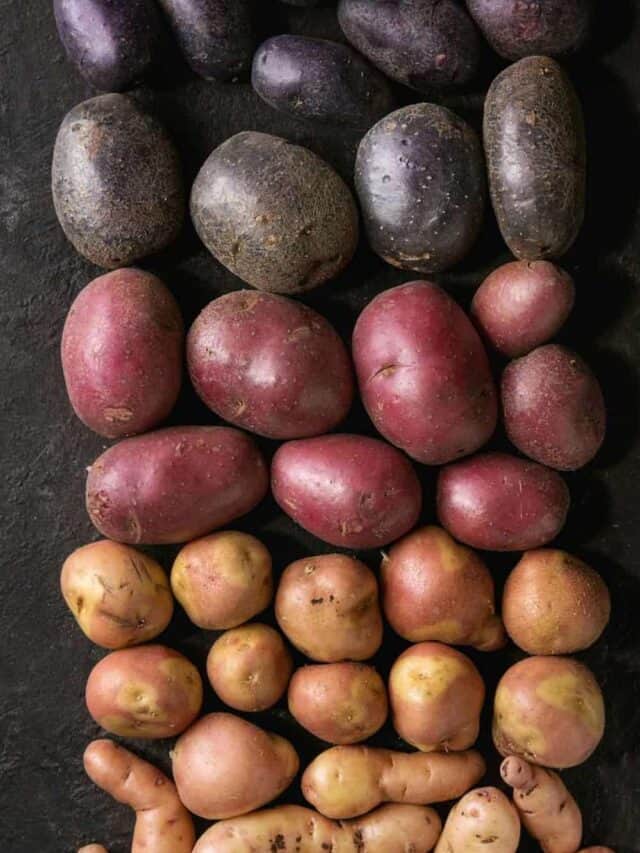 A group of potatoes on a black surface.