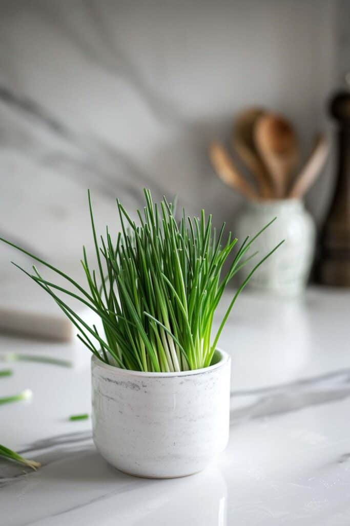 Chives in a white bowl on a marble counter.