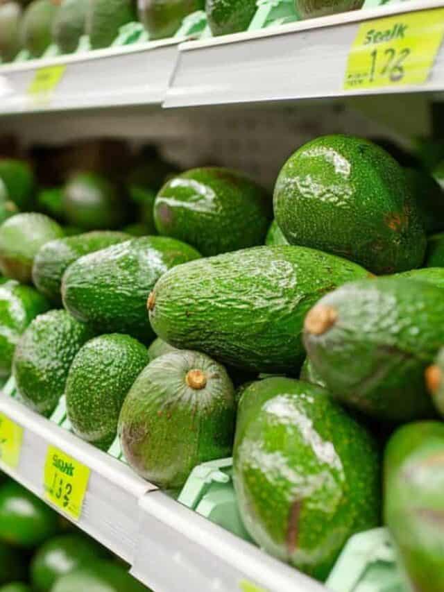 Avocados on shelves in a grocery store.